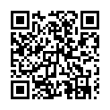 To view this 2010 Nissan Maxima Salt Lake City UT from First Class Cars, please scan this QR code with your smartphone or tablet to view the mobile version of this page.