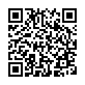 To view this 2012 Honda Fit Salt Lake City UT from First Class Cars, please scan this QR code with your smartphone or tablet to view the mobile version of this page.