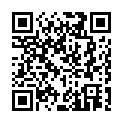 To view this 2009 Honda Fit Salt Lake City UT from First Class Cars, please scan this QR code with your smartphone or tablet to view the mobile version of this page.