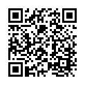 To view this 2013 Hyundai Sonata Salt Lake City UT from First Class Cars, please scan this QR code with your smartphone or tablet to view the mobile version of this page.