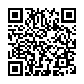 To view this 2009 Ford Flex Salt Lake City UT from First Class Cars, please scan this QR code with your smartphone or tablet to view the mobile version of this page.