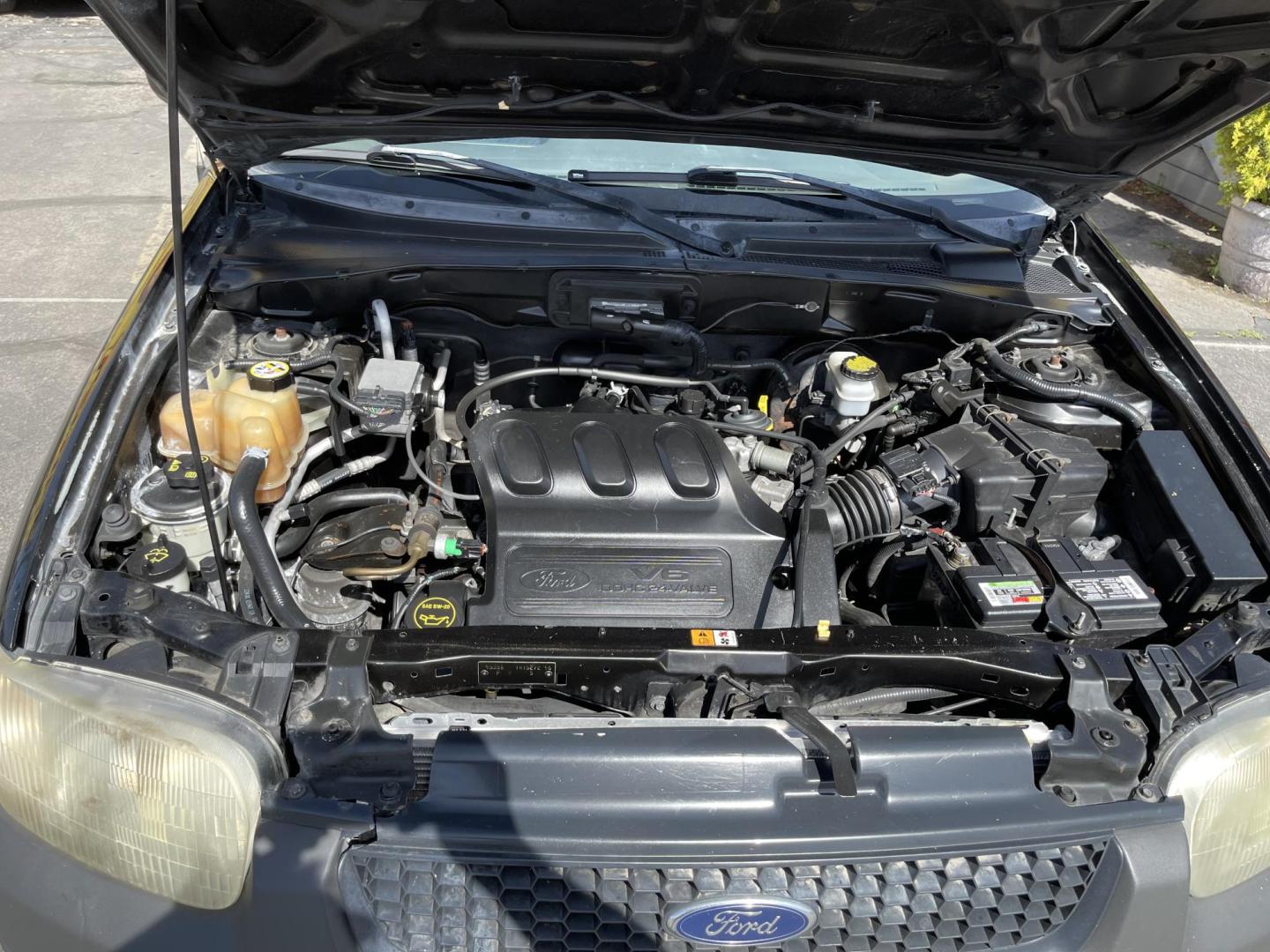 2003 Ebony /Gray Cloth Ford Escape XLT 4WD (1FMYU93123K) with an 3.0L V6 engine, Automatic transmission, located at 801 South State Street, Salt Lake City, UT, 84111, (801) 328-0098, 40.751953, -111.888206 - Clean Title!! Extra clean!! Immaculate condition!! Free Carfax!! Must see!! Warranty available!! Free Carfax!!! Vehicle Features: XLT Model, 4WD/AWD, ABS Brakes, Air Conditioning, Alloy Wheels, AM/FM Stereo, Automatic Transmission, CD Audio, Cloth Seats, Cruise Control, Full Roof Rack, Power Lo - Photo#18