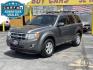 2009 Sterling Gray Metallic /Gray Cloth Ford Escape XLT 4WD V6 (1FMCU93G89K) with an 3.0L V6 engine, Automatic transmission, located at 801 South State Street, Salt Lake City, UT, 84111, (801) 328-0098, 40.751953, -111.888206 - Life is crazy. Now is the time to buy! All of our prices are just dollars above our cost. These prices will change as soon as life isn't so crazy. So please call or come in. We are here to save you a lot of money! Our service department is OPEN DAILY to help with any of your service needs. P- Photo#0