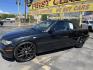 2005 /Black BMW 3-Series 325Ci convertible (WBABW33495P) with an 2.5L L6 DOHC 24V engine, Automatic transmission, located at 801 South State Street, Salt Lake City, UT, 84111, (801) 328-0098, 40.751953, -111.888206 - Immaculate condition inside and out! Real clean great vehicle for the year, make and miles! This is a must see to believe how clean! Free Carfax history report available. Features: Alloy Wheels, Leather Seats, Front Seat Heaters, Memory Seat(s), Harman Kardon Sound, Soft Top, ABS Brakes, CD Audio, - Photo#11