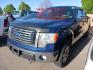 2011 Blue /Gray Ford F-150 FX4 SuperCrew 5.5-ft. Bed 4WD (1FTFW1EF0BF) with an 5.0L V8 engine, 4-Speed Automatic transmission, located at 801 South State Street, Salt Lake City, UT, 84111, (801) 328-0098, 40.751953, -111.888206 - Clean title! Hard find extra clean! Immaculate condition! 6 passenger truck lots of room inside! 4x4 tires are in great shape! Must see truck for anyone looking for a clean 4x4 truck!!! Features: 4x4, Cloth Seats, Alloy Wheels, Rear View Camera, Bed Cover, Satellite Radio Ready, Bed Liner,Tow Hitch - Photo#1