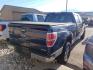 2011 Blue /Gray Ford F-150 FX4 SuperCrew 5.5-ft. Bed 4WD (1FTFW1EF0BF) with an 5.0L V8 engine, 4-Speed Automatic transmission, located at 801 South State Street, Salt Lake City, UT, 84111, (801) 328-0098, 40.751953, -111.888206 - Clean title! Hard find extra clean! Immaculate condition! 6 passenger truck lots of room inside! 4x4 tires are in great shape! Must see truck for anyone looking for a clean 4x4 truck!!! Features: 4x4, Cloth Seats, Alloy Wheels, Rear View Camera, Bed Cover, Satellite Radio Ready, Bed Liner,Tow Hitch - Photo#2