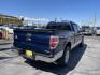 2011 Blue /Gray Ford F-150 FX4 SuperCrew 5.5-ft. Bed 4WD (1FTFW1EF0BF) with an 5.0L V8 engine, 4-Speed Automatic transmission, located at 801 South State Street, Salt Lake City, UT, 84111, (801) 328-0098, 40.751953, -111.888206 - Clean title! Hard find extra clean! Immaculate condition! 6 passenger truck lots of room inside! 4x4 tires are in great shape! Must see truck for anyone looking for a clean 4x4 truck!!! Features: 4x4, Cloth Seats, Alloy Wheels, Rear View Camera, Bed Cover, Satellite Radio Ready, Bed Liner,Tow Hitch - Photo#6