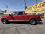 2010 Flame Red /Black Ford F-150 Lariat SuperCrew 5.5-ft. Bed 4WD (1FTFW1EV4AF) with an 5.4L V8 SOHC 24V FFV engine, 4A transmission, located at 801 South State Street, Salt Lake City, UT, 84111, (801) 328-0098, 40.751953, -111.888206 - FX4 package and 4x4. Great condition! Clean title! Low miles for the year! This truck has been regularly serviced and maintained and cared for runs and drives great!!!! Approved for up to a 5 year bumper to bumper warranty that can be added onto the vehicle. Features: 4WD/AWD, ABS Brakes, Air Cond- Photo#9